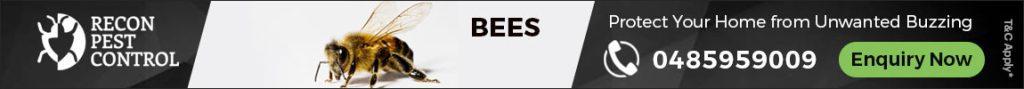 bee removal melbourne