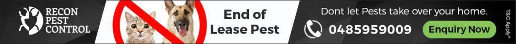 end of lease pest control melbourne