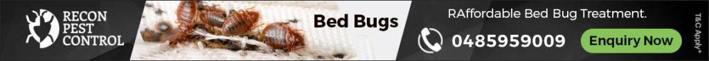 bed bugs control melbourne