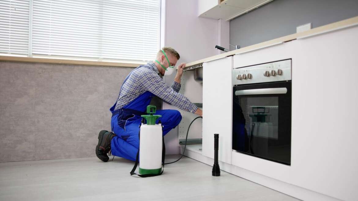 ant control melbourne