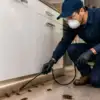 Cockroach Control Melbourne — Understanding How Cockroach Infestations Grow Over Time