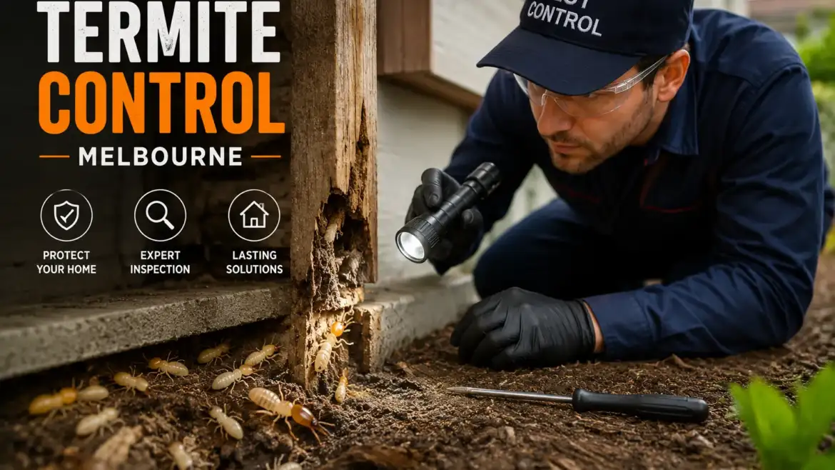 Termite Control Melbourne