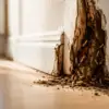 Termite Treatment Melbourne — The Day After You Discover Termites